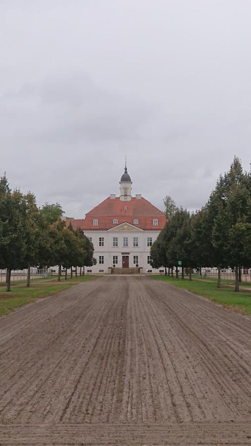 Leddin Fewo In Neustadt/Dosse, Der Stadt Der Pferde מראה חיצוני תמונה